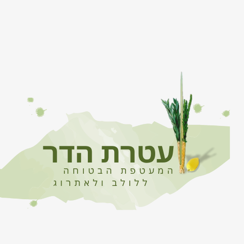 לוגו לולב